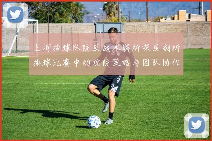 上海排球队防反战术解析深度剖析排球比赛中的攻防策略与团队协作