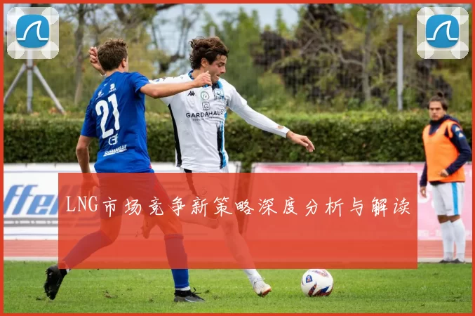 LNG市场竞争新策略深度分析与解读