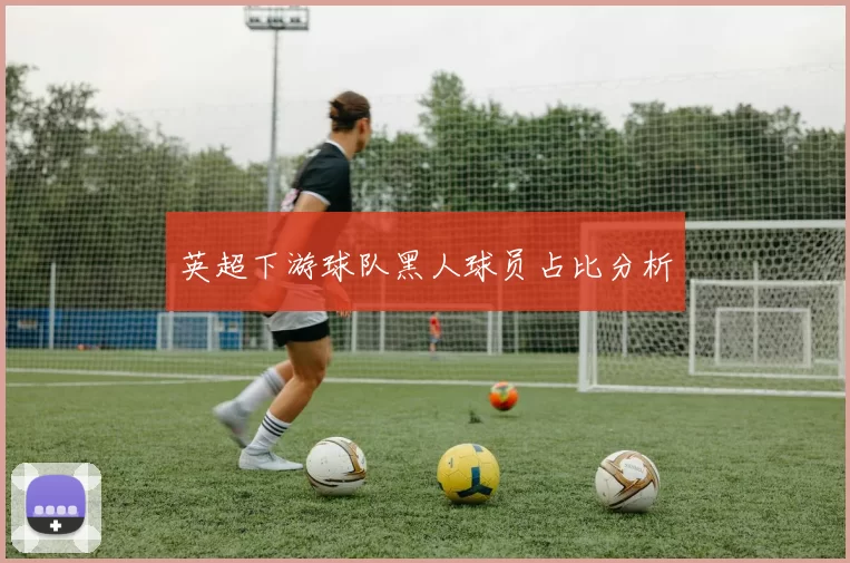 英超下游球队黑人球员占比分析