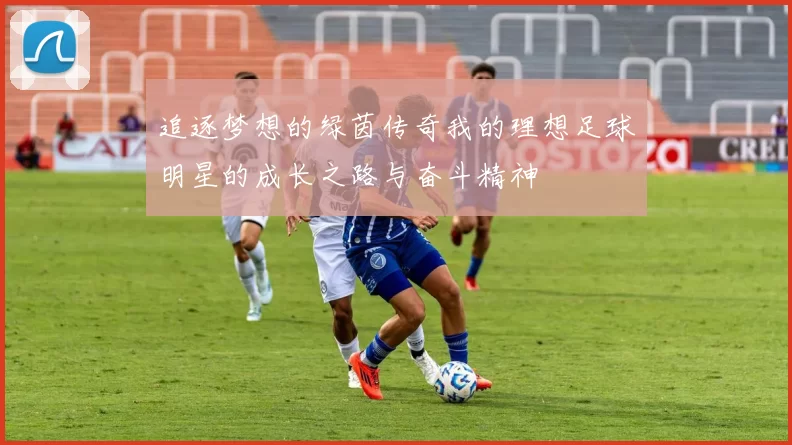 追逐梦想的绿茵传奇我的理想足球明星的成长之路与奋斗精神