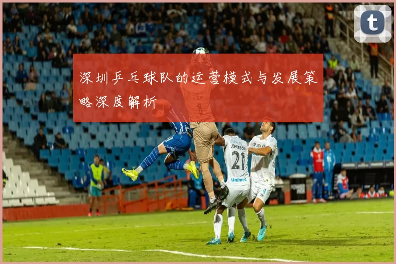 深圳乒乓球队的运营模式与发展策略深度解析