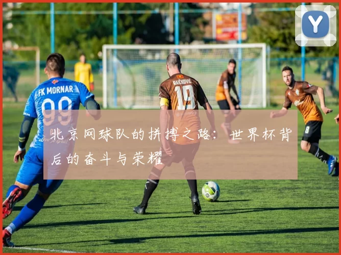 北京网球队的拼搏之路：世界杯背后的奋斗与荣耀