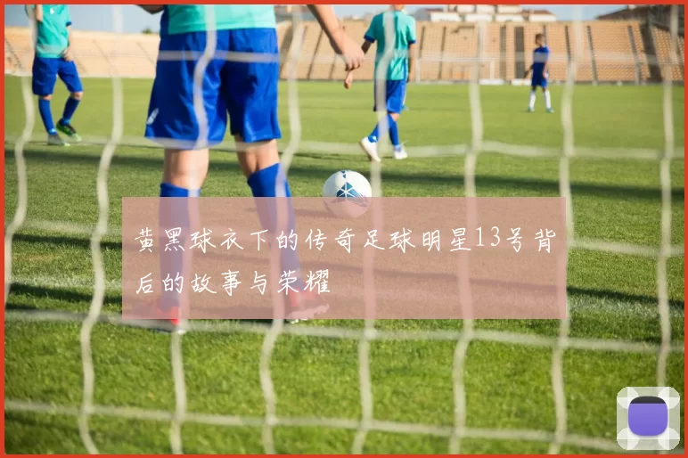 黄黑球衣下的传奇足球明星13号背后的故事与荣耀