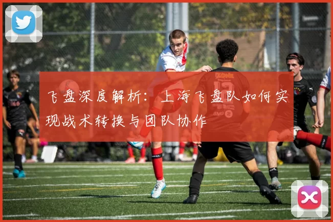 飞盘深度解析：上海飞盘队如何实现战术转换与团队协作