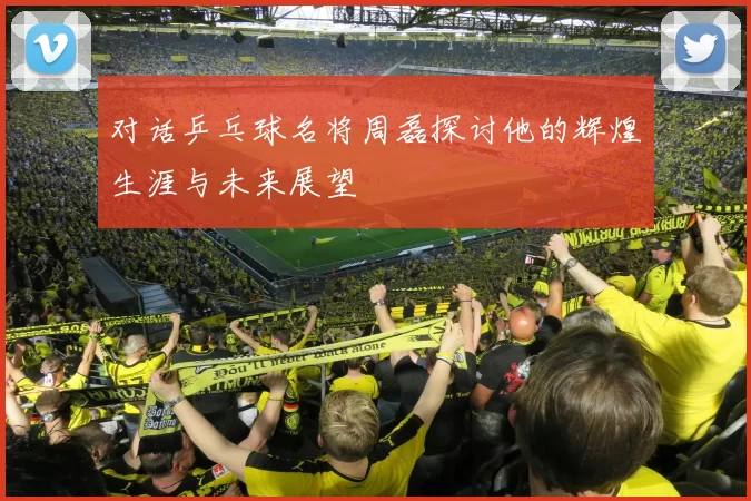 对话乒乓球名将周磊探讨他的辉煌生涯与未来展望