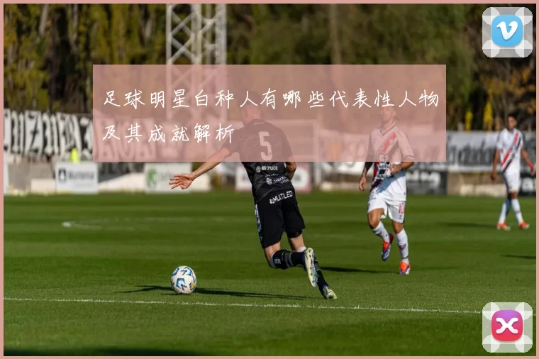 足球明星白种人有哪些代表性人物及其成就解析