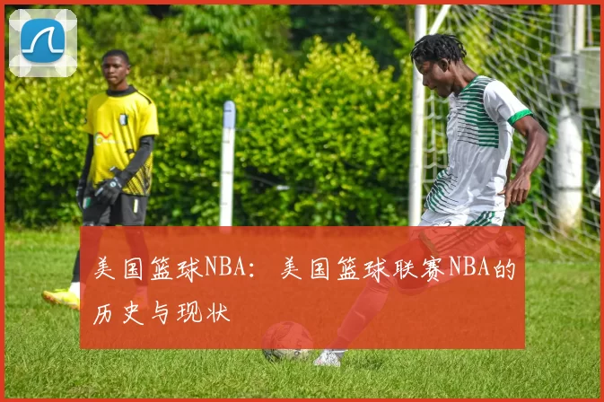 美国篮球NBA：美国篮球联赛NBA的历史与现状