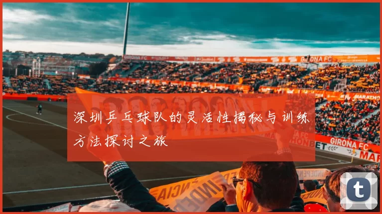 深圳乒乓球队的灵活性揭秘与训练方法探讨之旅