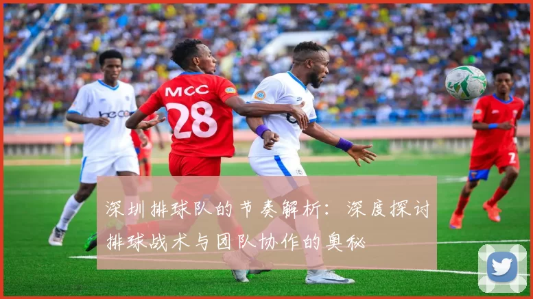 深圳排球队的节奏解析：深度探讨排球战术与团队协作的奥秘