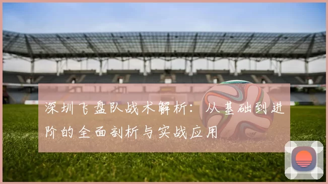深圳飞盘队战术解析：从基础到进阶的全面剖析与实战应用