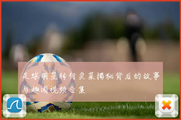 足球明星转行卖菜揭秘背后的故事与趣闻视频合集