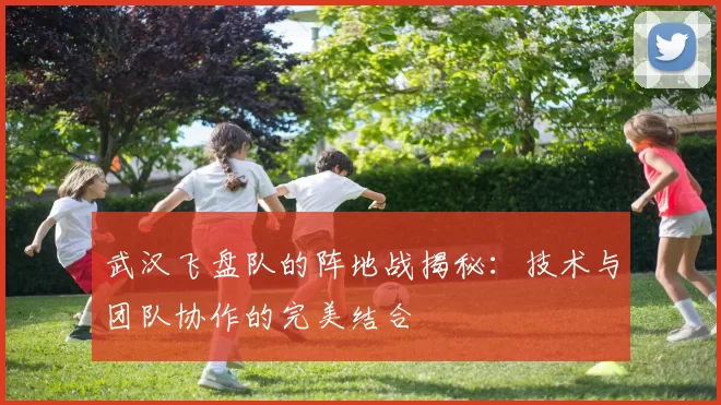 武汉飞盘队的阵地战揭秘：技术与团队协作的完美结合