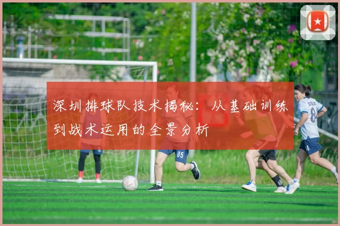 深圳排球队技术揭秘：从基础训练到战术运用的全景分析