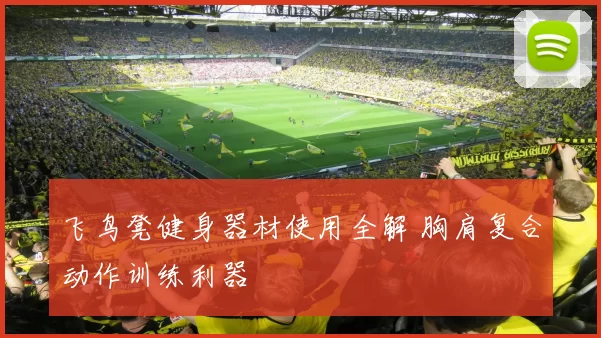 飞鸟凳健身器材使用全解 胸肩复合动作训练利器