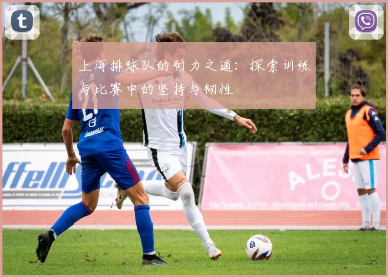 上海排球队的耐力之道：探索训练与比赛中的坚持与韧性