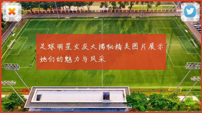 足球明星女友大揭秘精美图片展示她们的魅力与风采
