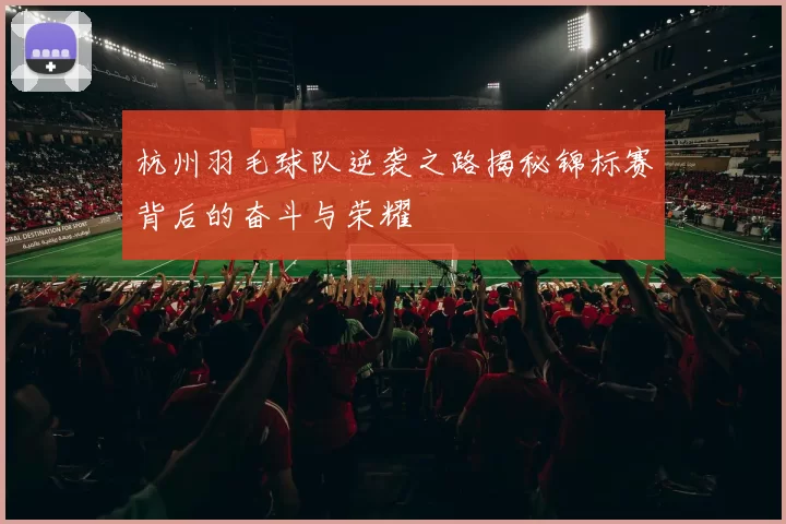 杭州羽毛球队逆袭之路揭秘锦标赛背后的奋斗与荣耀