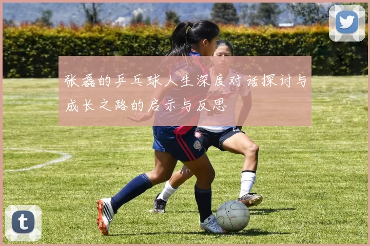 张磊的乒乓球人生深度对话探讨与成长之路的启示与反思