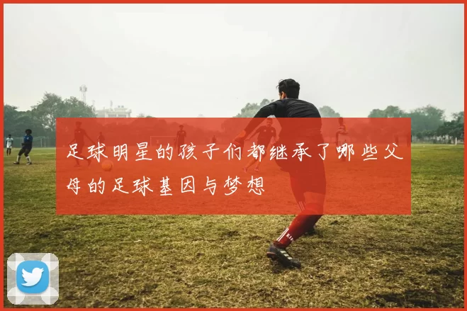 足球明星的孩子们都继承了哪些父母的足球基因与梦想