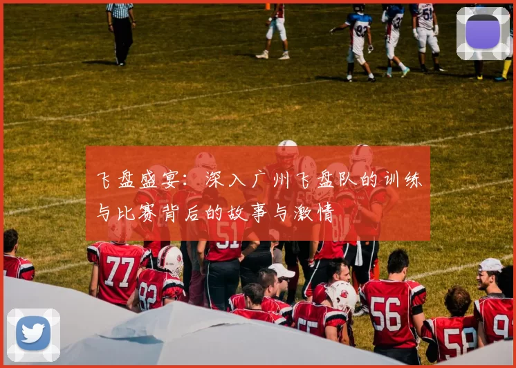 飞盘盛宴：深入广州飞盘队的训练与比赛背后的故事与激情