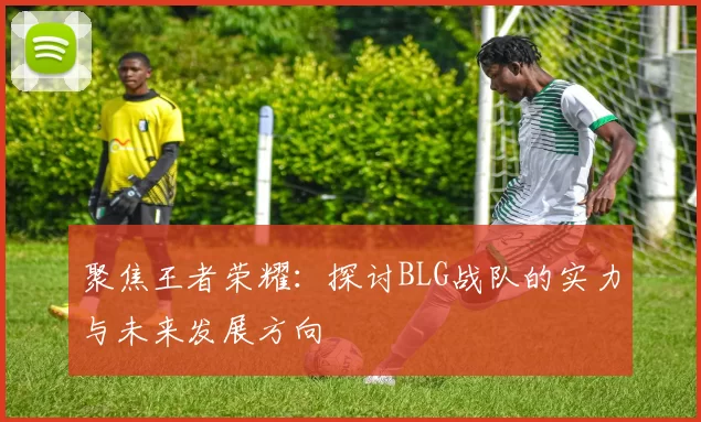 聚焦王者荣耀：探讨BLG战队的实力与未来发展方向