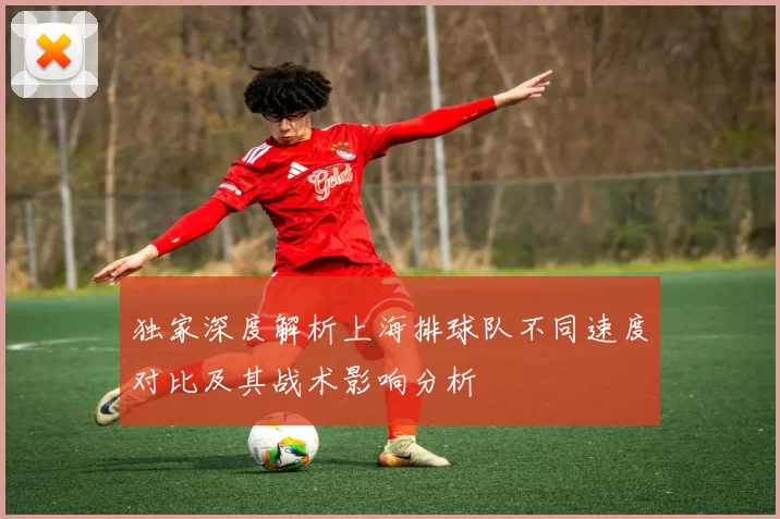 独家深度解析上海排球队不同速度对比及其战术影响分析