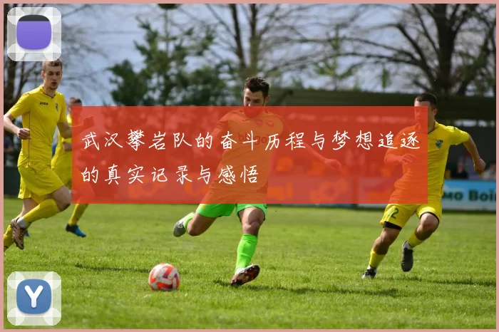 武汉攀岩队的奋斗历程与梦想追逐的真实记录与感悟