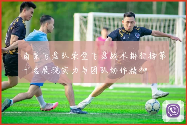 南京飞盘队荣登飞盘战术排行榜第十名展现实力与团队协作精神