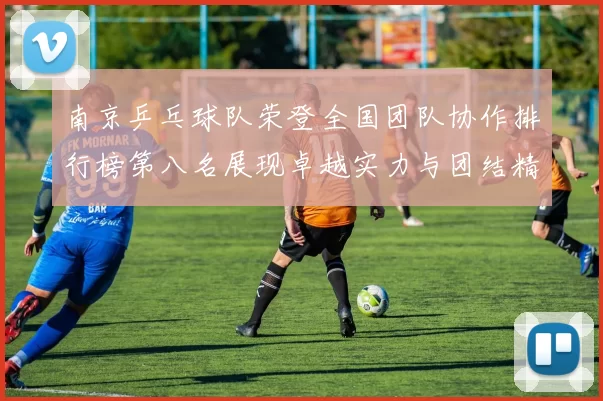 南京乒乓球队荣登全国团队协作排行榜第八名展现卓越实力与团结精神