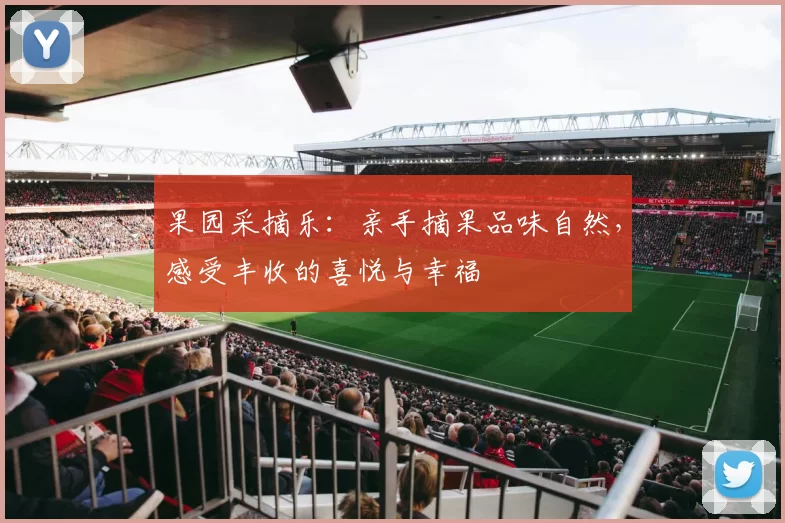 果园采摘乐：亲手摘果品味自然，感受丰收的喜悦与幸福