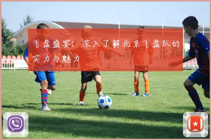 飞盘盛宴：深入了解北京飞盘队的实力与魅力