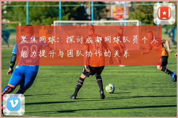 聚焦网球：探讨成都网球队员个人能力提升与团队协作的关系
