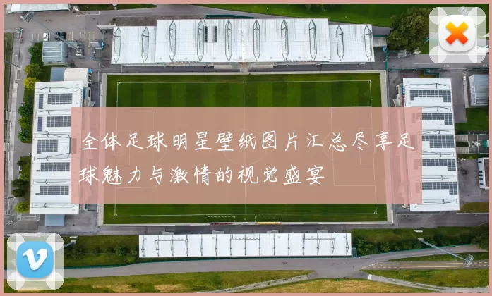 全体足球明星壁纸图片汇总尽享足球魅力与激情的视觉盛宴