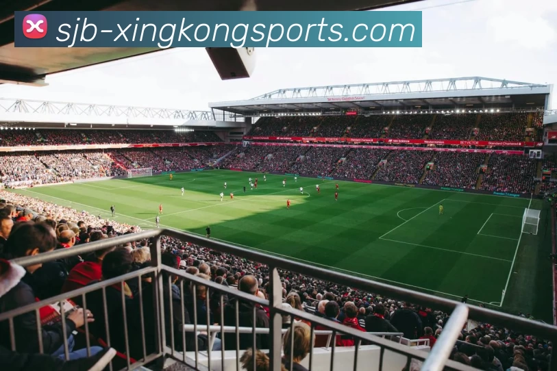 App Interface Preview