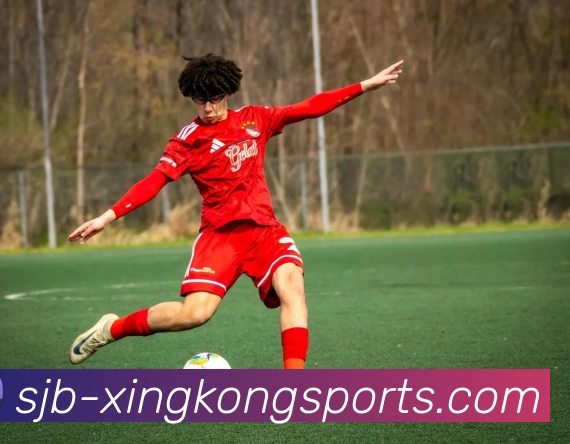 星空体育APP 封面图